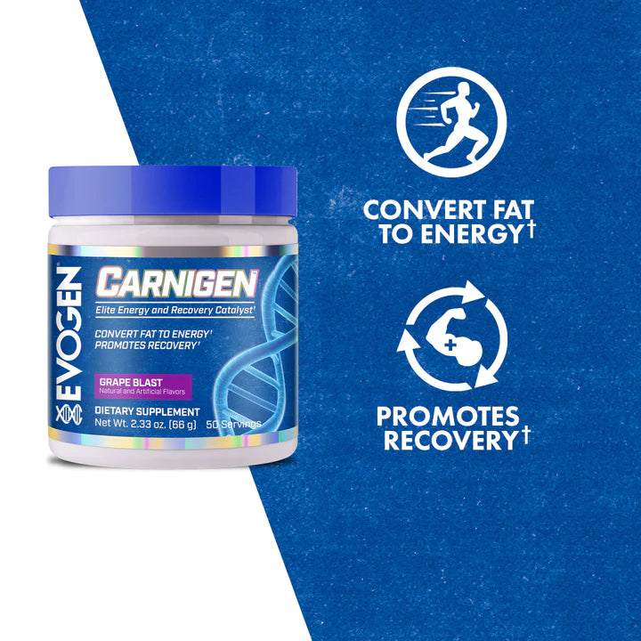 Carnigen Carnitine Powder