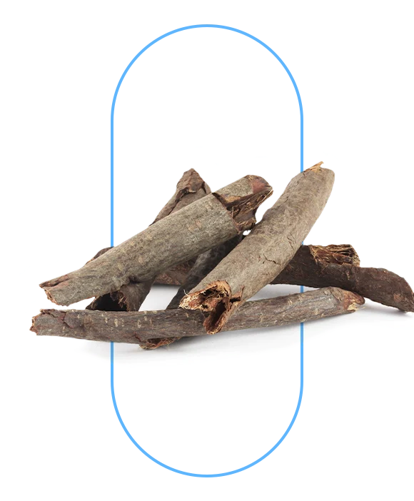 CASCARA SAGRADA RHAMNUS PURSHIANA BARK POWDER