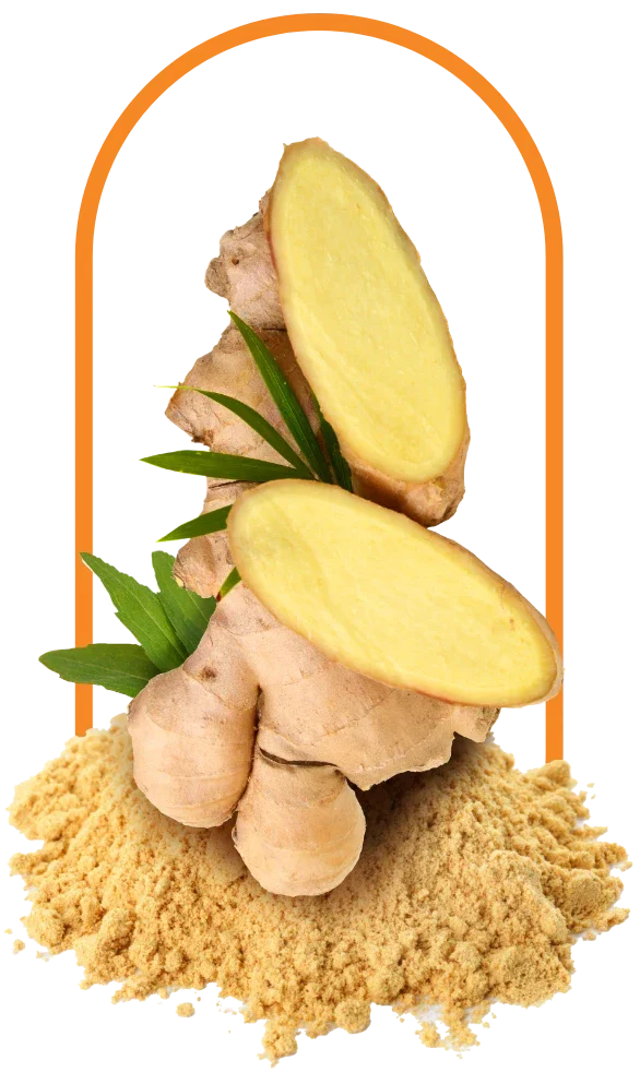 ORGANIC GINGER ROOT